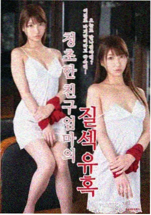 字幕资料库的正确用法